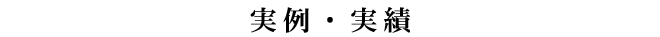 実例・実績