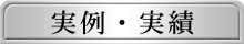 実例・実績